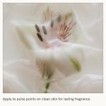 Le Monde Gourmand Eau de Parfum Spray 1 fl oz