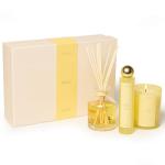 Benevolence LA Morning Ritual Home Fragrance Set