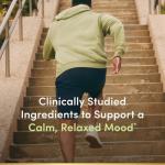 Ashwagandha Mood Support Tablets - 50 Count