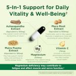 Caffeine-Free Energy Boost with Ashwagandha & Maca