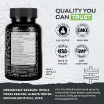 Wild Prebiotics & Probiotics with Digestive Enzymes