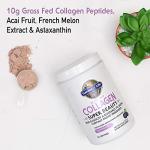 Garden of Life Grass Fed Collagen Super Beauty