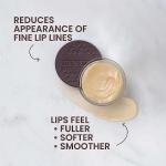 Burt's Bees Overnight Lip Treatment, Moisturizing Care