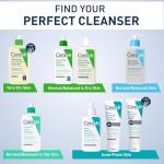 CeraVe Hydrating Foaming Cleanser for Dry Skin