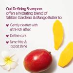 Curl Defining Shampoo & Conditioner Duo - Gardenia Mango
