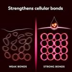 Olay Regenerist Neck and Face Firming Roller