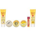 Burt's Bees Tips and Toes Travel Gift Set