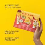 Burt's Bees Tips and Toes Travel Gift Set