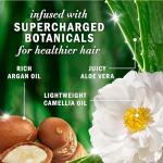 Herbal Essences Argan Oil Repair Duo Set