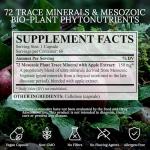 Vitality Extract, Energy Supplement 60 Caps. 72 Trace Minerals from Ancient Mesozoic Plants w/Apple Extract | Polyphenol-Rich Supplement to Energize Vitality, Endurance Booster & Metabolism Activator