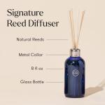 Capri Blue Volcano Reed Diffuser Set - Luxury Fragrance