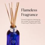 Capri Blue Volcano Reed Diffuser Set - Luxury Fragrance
