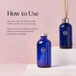 Capri Blue Volcano Reed Diffuser Set - Luxury Fragrance