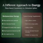 Vitality Extract, Energy Supplement 60 Caps. 72 Trace Minerals from Ancient Mesozoic Plants w/Apple Extract | Polyphenol-Rich Supplement to Energize Vitality, Endurance Booster & Metabolism Activator