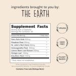 Mood Support Supplement - 7 Herbs & St. John's Wort