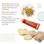 AcneFree Terminator 10 Spot Treatment, 1 Ounce