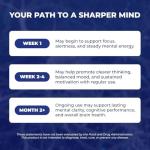 12-in-1 Memory & Focus Brain Supplement Capsules