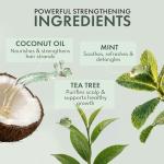 Tea Tree Leave-In Conditioner for Itchy Scalp