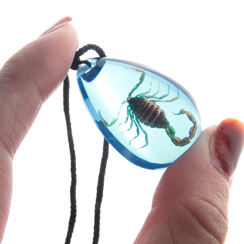 Natural Amber Scorpion Inclusion Pendant Necklace Set