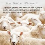 Soft Cashmere Crew Neck Sweater for Women