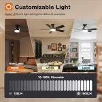 42" Black Ceiling Fan with Lights and Remote