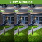 42-Inch LED Bollard Light with 3 Color Options