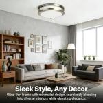 Drosbey 36W Dimmable LED Ceiling Light Fixture