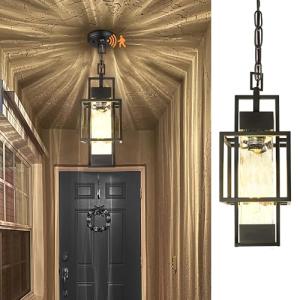 Motion Sensor 15" Outdoor Black Pendant Light
