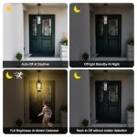 Motion Sensor 15" Outdoor Black Pendant Light