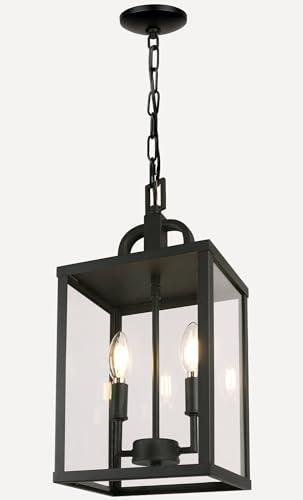 Modern Black Metal 2-Light Pendant Chandelier
