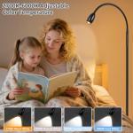Dimmable Adjustable LED Floor Lamp with Gooseneck