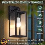 Kainozoic Smart Waterproof Outdoor Wall Light