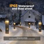 Black 3000K LED Outdoor Pathway Lights