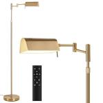 Dimmable LED Floor Lamp with Remote Control