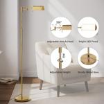 Dimmable LED Floor Lamp with Remote Control