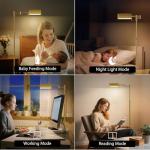 Dimmable LED Floor Lamp with Remote Control