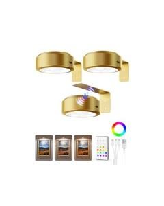 EZVALO Rechargeable Picture Lights with Remote Control