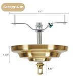 Gold Ceiling Light Fixture Canopy and Chain Kit