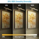 Dimmable 3CCT LED Picture Light in Antique Brass