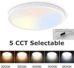 TALOYA 12-Inch LED Flush Mount Ceiling Light