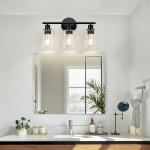 Black 3-Light Bathroom Vanity Light with Glass Shades