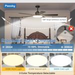 Passky 52-Inch Ceiling Fan with Dimmable Light