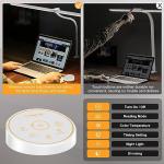 Pzloz LED Desk Lamp with Clamp - Adjustable Lighting