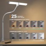 Adjustable LED Desk Lamp with Clip and Goose-Neck