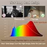 Adjustable LED Desk Lamp for Home Office