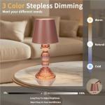 Cordless Rechargeable Touch Control Table Lamp 9.5