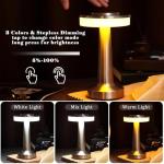Riakrum Cordless LED Table Lamp with Touch Control