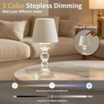 Cordless Touch Control Rechargeable Table Lamp 9.5