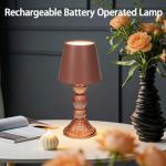 Cordless Rechargeable Touch Control Table Lamp 9.5