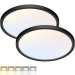 Fairdeer 2 Pack 12-Inch LED Ceiling Lights